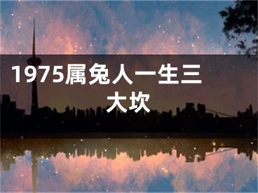 1975属兔人一生三大坎