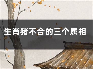 生肖猪不合的三个属相