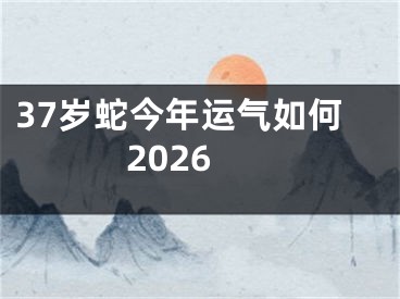 37岁蛇今年运气如何2026