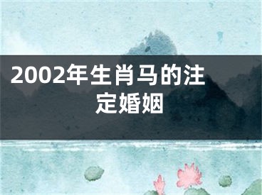 2002年生肖马的注定婚姻