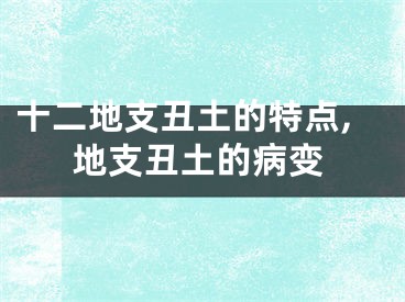 十二地支丑土的特点,地支丑土的病变