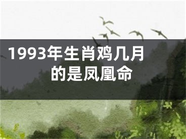 1993年生肖鸡几月的是凤凰命