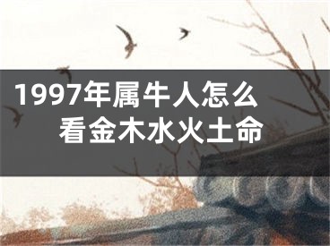 1997年属牛人怎么看金木水火土命