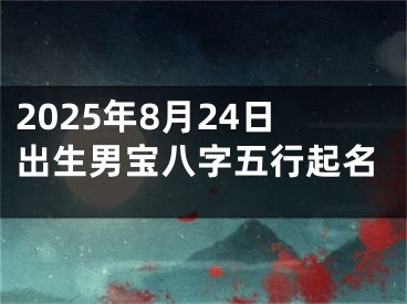 2025年8月24日出生男宝八字五行起名