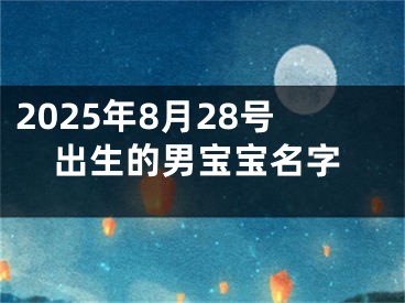 2025年8月28号出生的男宝宝名字