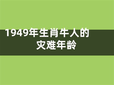 1949年生肖牛人的灾难年龄