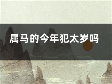 属马的今年犯太岁吗