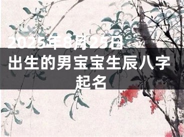 2025年8月25日出生的男宝宝生辰八字起名