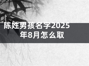 陈姓男孩名字2025年8月怎么取