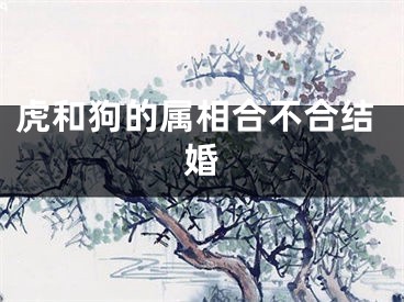 虎和狗的属相合不合结婚