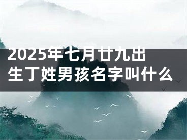 2025年七月廿九出生丁姓男孩名字叫什么