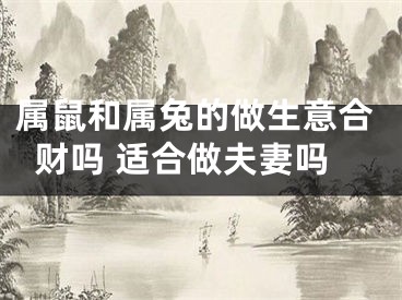 属鼠和属兔的做生意合财吗 适合做夫妻吗