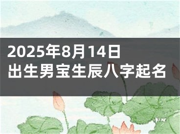 2025年8月14日出生男宝生辰八字起名