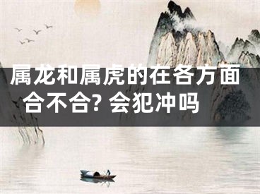 属龙和属虎的在各方面合不合? 会犯冲吗