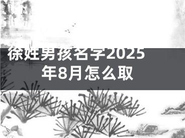 徐姓男孩名字2025年8月怎么取