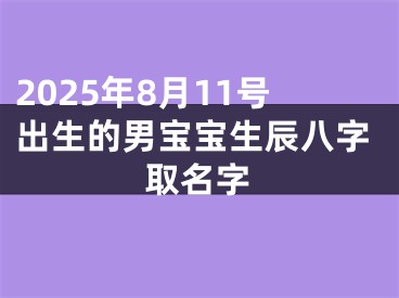 2025年8月11号出生的男宝宝生辰八字取名字