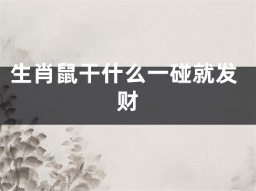 生肖鼠干什么一碰就发财