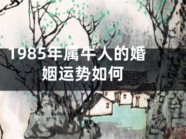 1985年属牛人的婚姻运势如何 