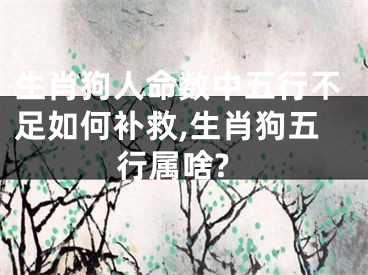生肖狗人命数中五行不足如何补救,生肖狗五行属啥?