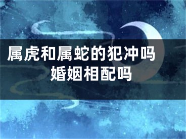 属虎和属蛇的犯冲吗 婚姻相配吗