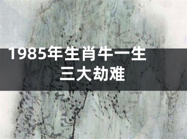 1985年生肖牛一生三大劫难