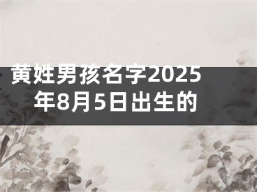 黄姓男孩名字2025年8月5日出生的