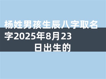 杨姓男孩生辰八字取名字2025年8月23日出生的