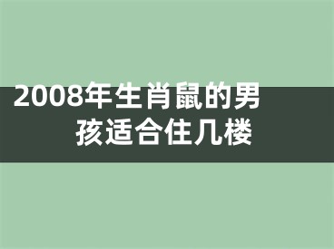2008年生肖鼠的男孩适合住几楼