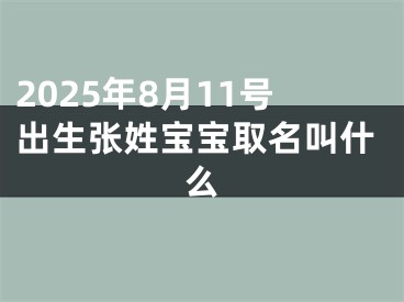 2025年8月11号出生张姓宝宝取名叫什么