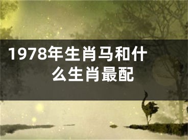 1978年生肖马和什么生肖最配