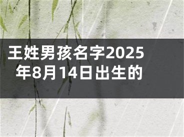 王姓男孩名字2025年8月14日出生的