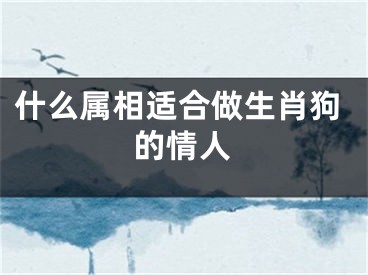 什么属相适合做生肖狗的情人