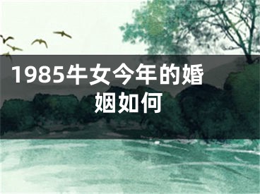 1985牛女今年的婚姻如何