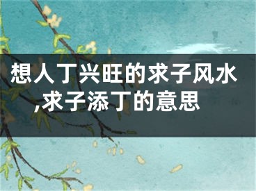 想人丁兴旺的求子风水,求子添丁的意思