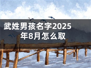 武姓男孩名字2025年8月怎么取