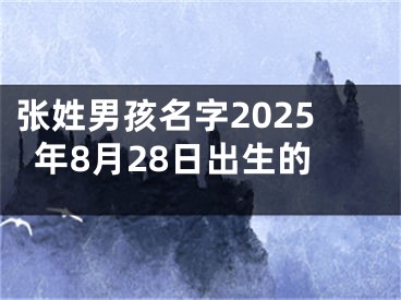 张姓男孩名字2025年8月28日出生的