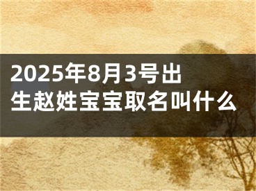 2025年8月3号出生赵姓宝宝取名叫什么