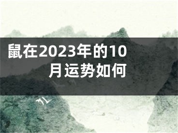 鼠在2023年的10月运势如何