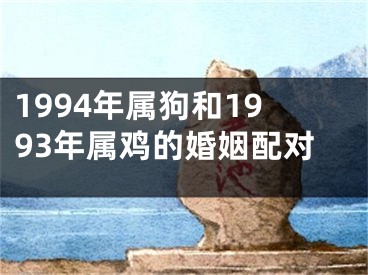 1994年属狗和1993年属鸡的婚姻配对