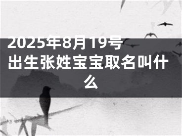 2025年8月19号出生张姓宝宝取名叫什么