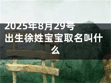 2025年8月29号出生徐姓宝宝取名叫什么