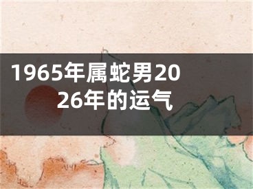 1965年属蛇男2026年的运气