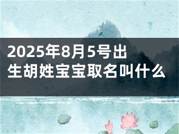 2025年8月5号出生胡姓宝宝取名叫什么