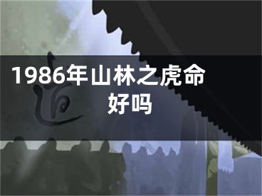 1986年山林之虎命好吗