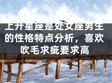 上升星座是处女座男生的性格特点分析，喜欢吹毛求疵要求高