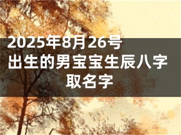 2025年8月26号出生的男宝宝生辰八字取名字