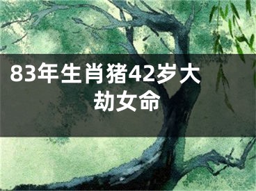 83年生肖猪42岁大劫女命