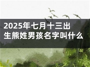 2025年七月十三出生熊姓男孩名字叫什么