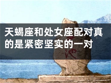 天蝎座和处女座配对真的是紧密坚实的一对 