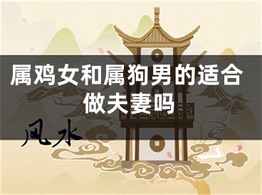 属鸡女和属狗男的适合做夫妻吗